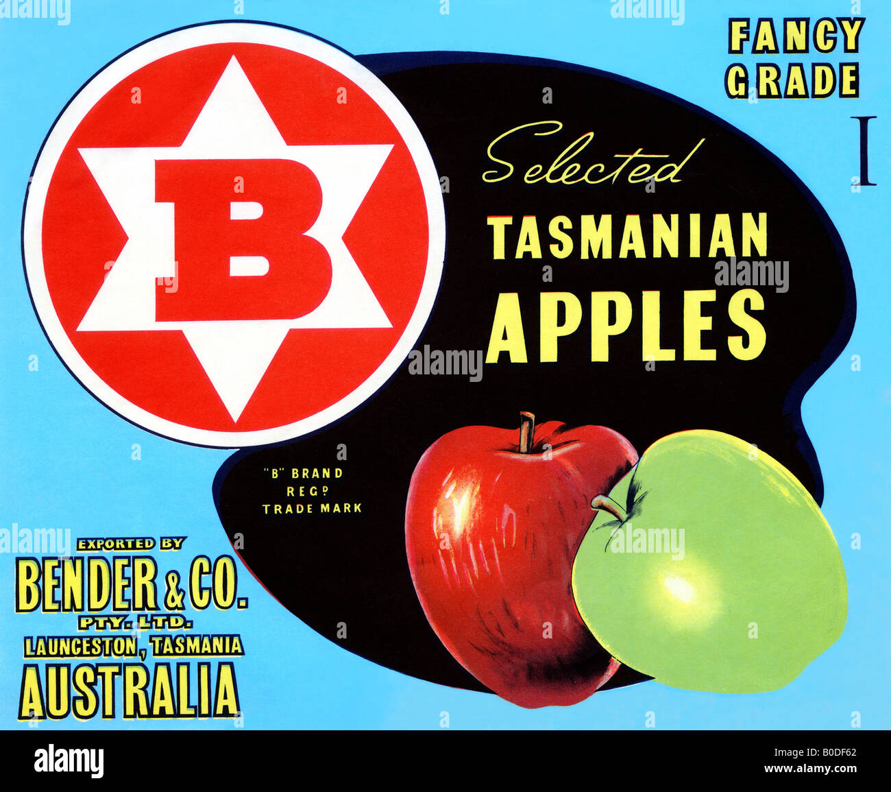 Ausgefallene Note ausgewählt Tasmanische Äpfel Stockfoto