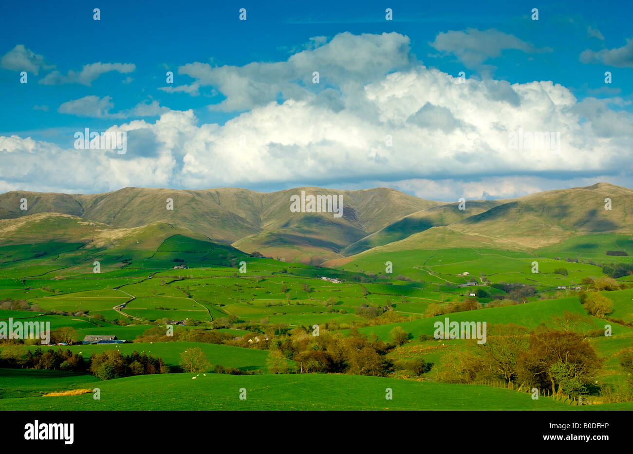 Howgill Hügel in der Nähe von Sedbergh, Cumbria, England UK Stockfoto