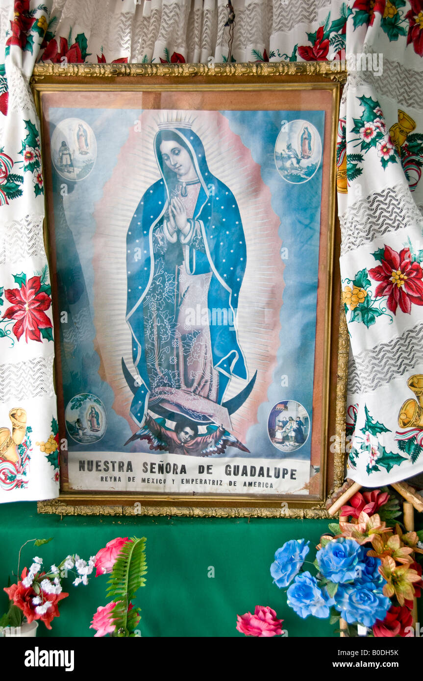 Gerahmte Bild der Jungfrau von Guadalupe auf einen vorübergehenden Schrein, gelehnt geblümten Stoff gelegt. Mit Plastikblumen. Stockfoto
