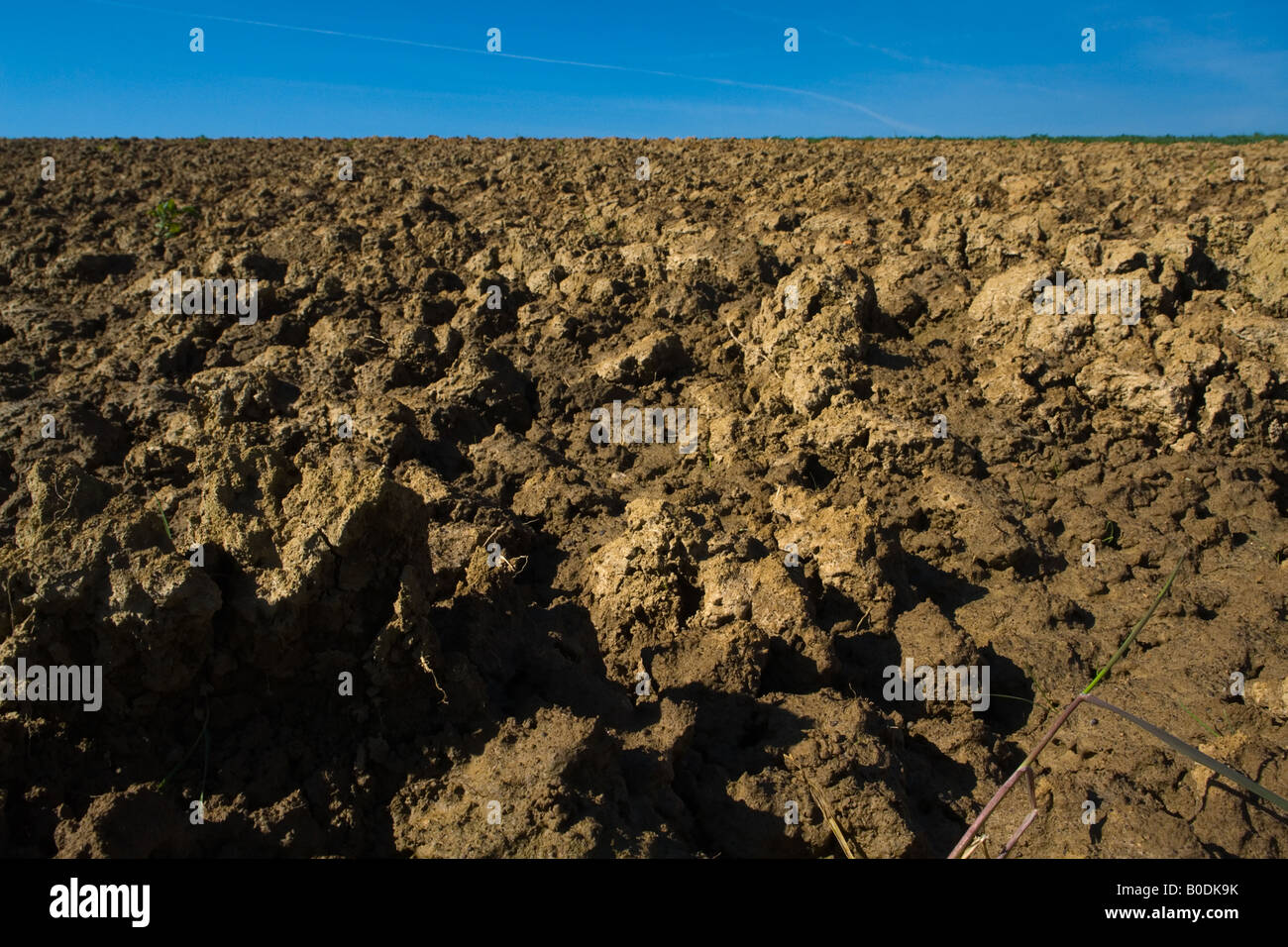 Acker Wiese Boden Stockfoto