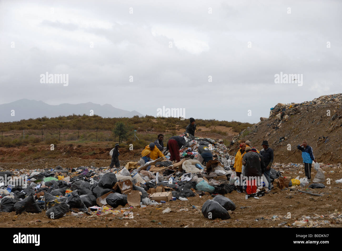 Abfallwirtschaft in Zolani, Südafrika (4) Stockfoto