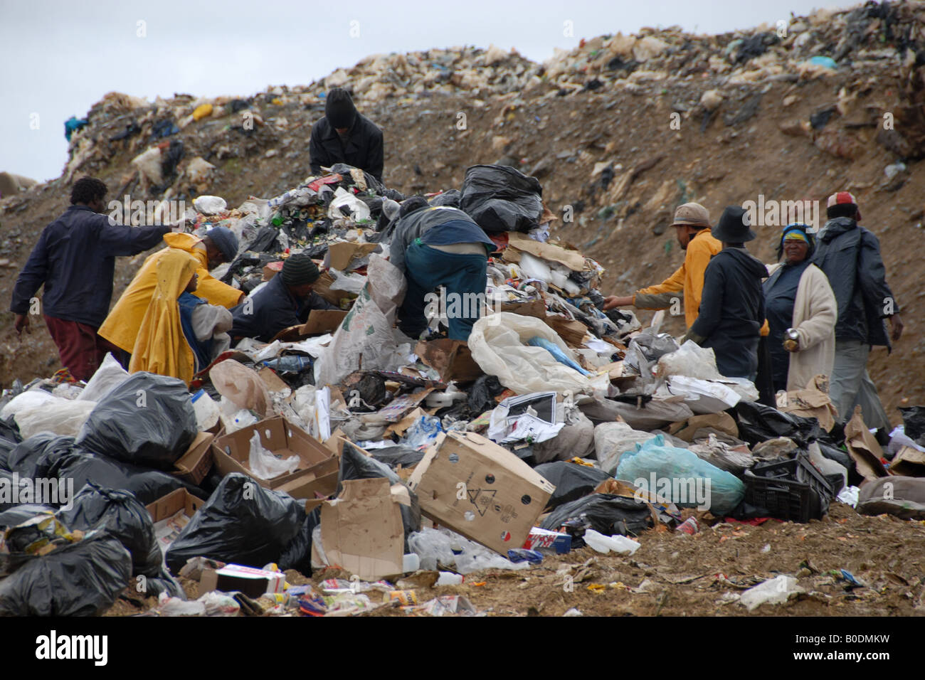 Abfallwirtschaft in Zolani, Südafrika (1) Stockfoto