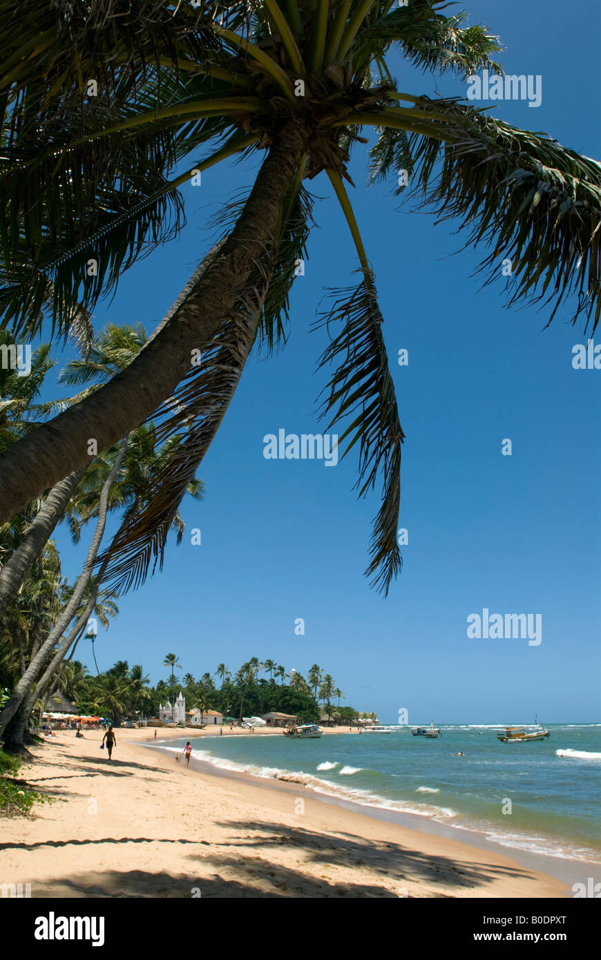Strand von Praia do Forte, Bahia, Brasilien Stockfoto