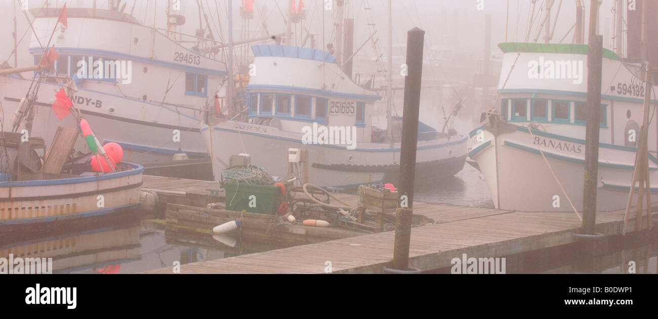 La Push Marina im Nebel Washington Küste Stockfoto