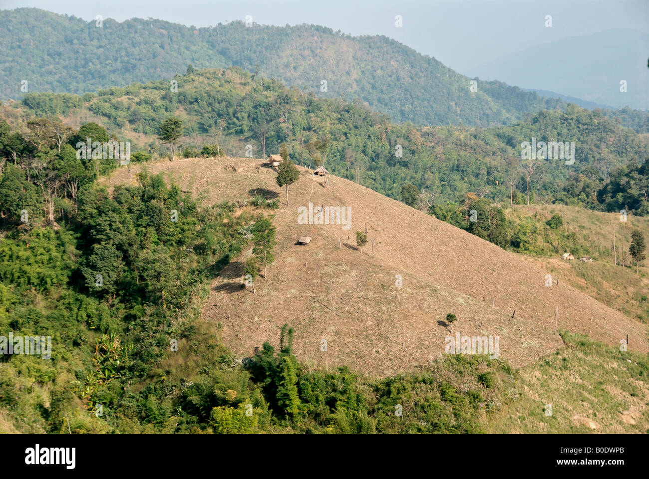 Deforestization Chiang Rai Provinz Nord-Thailand Stockfoto