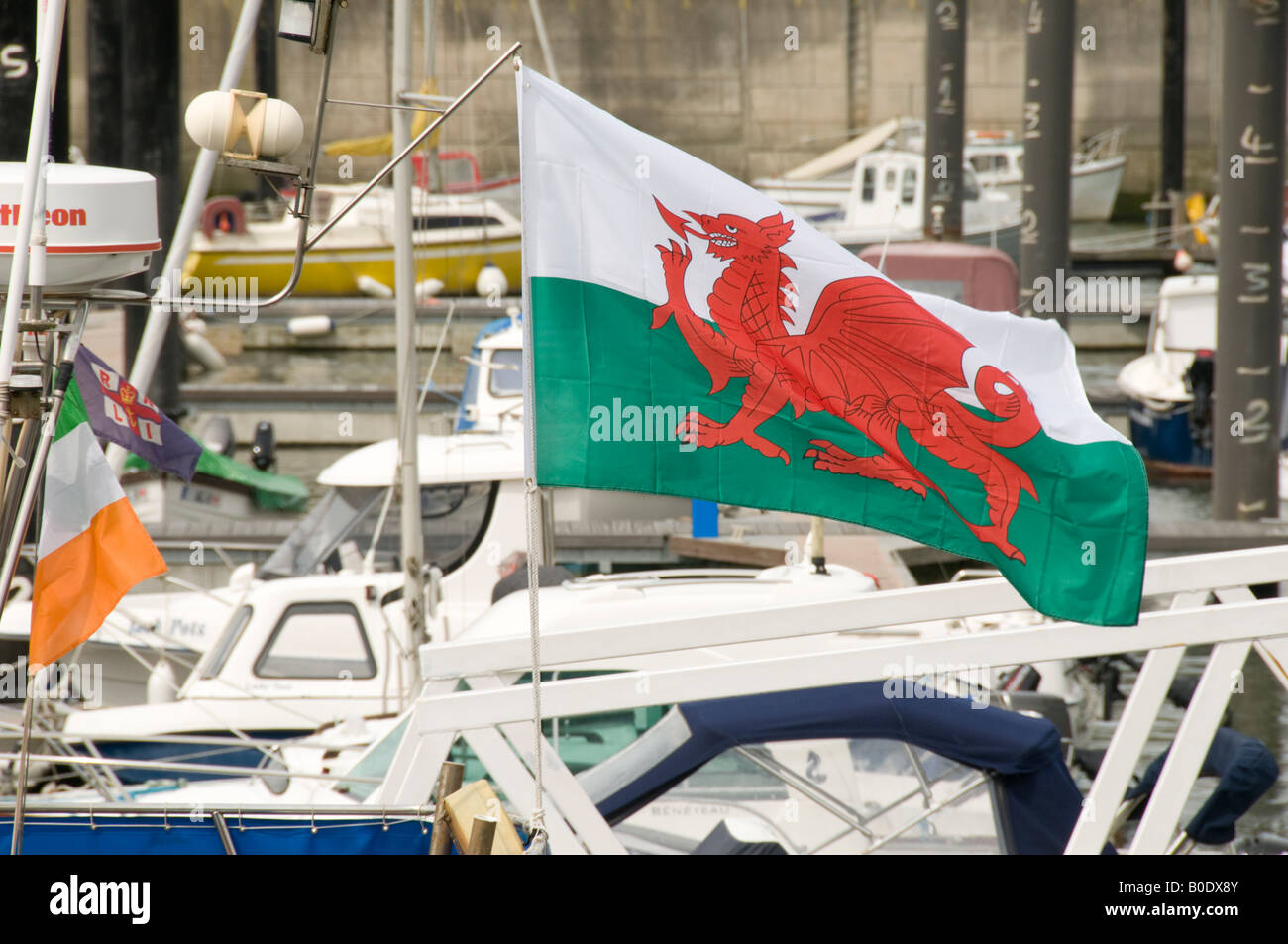 Roter Drache walisische Flagge Banner fliegen am Boot in Aberystwyth Hafen Stockfoto