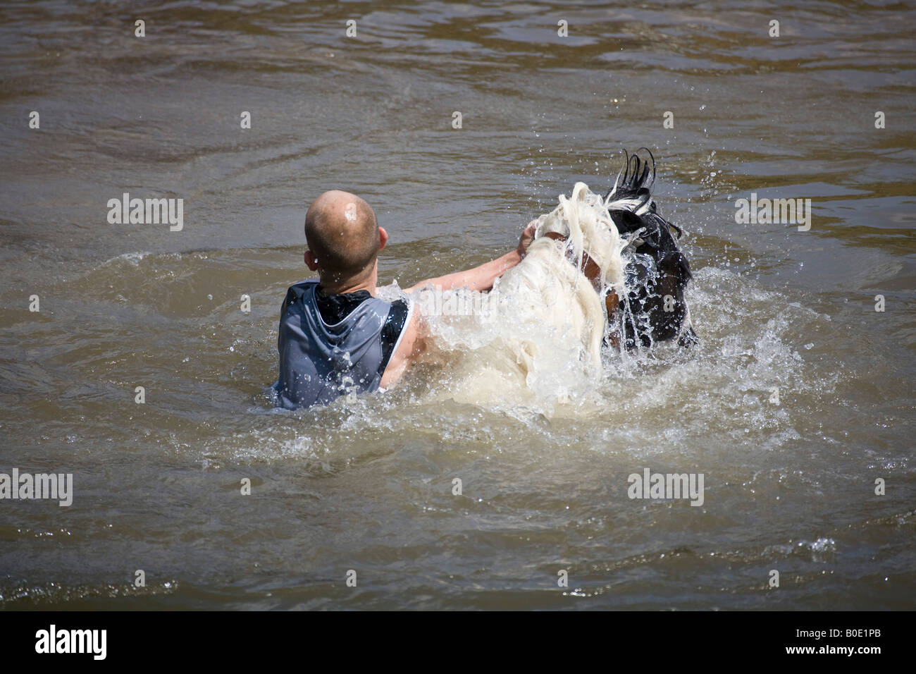 Pferd ertrinken Appleby Fair 2007 2 Stockfoto