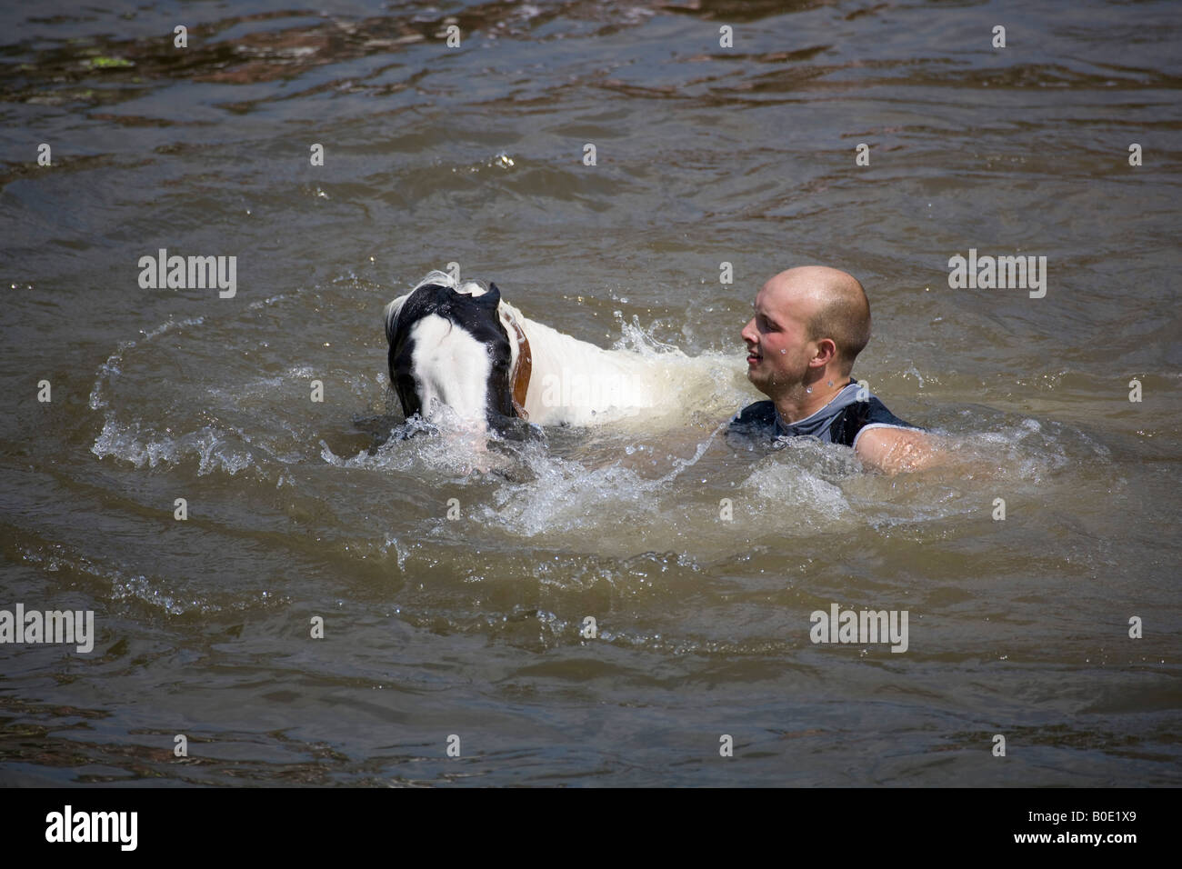 Pferd ertrinken Appleby Fair 2007 3 Stockfoto