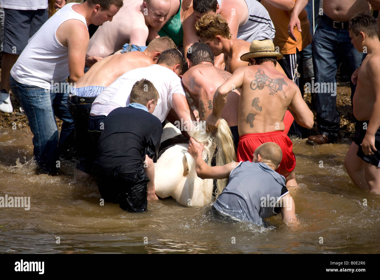 Pferd ertrinken Appleby Fair 2007 12 Stockfoto