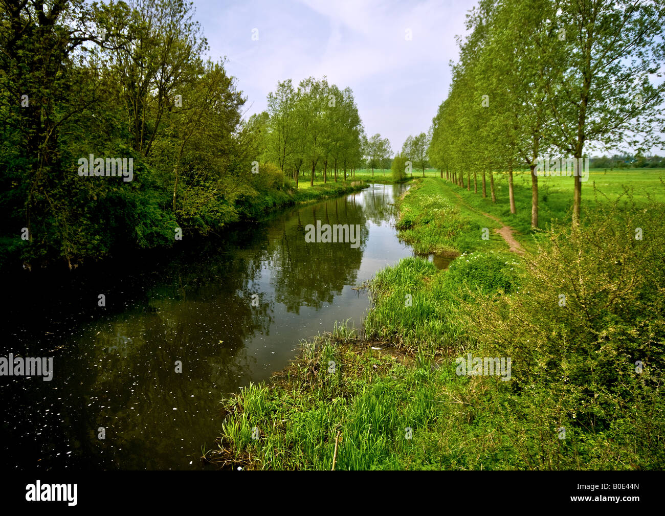 Der Fluß Chelmer in Essex. Stockfoto