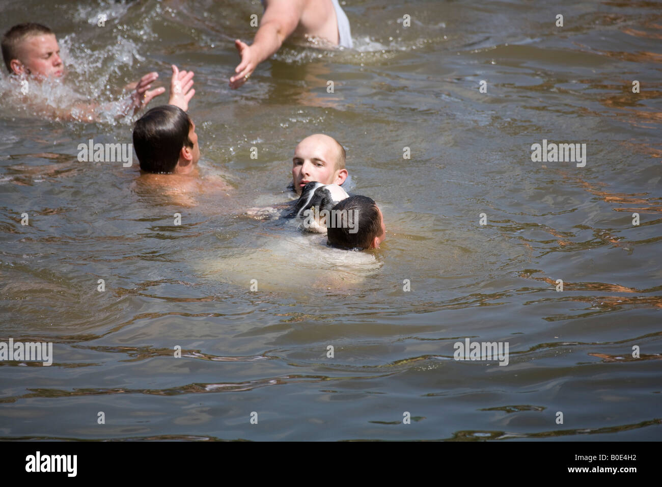 Pferd ertrinken Appleby Fair 2007 7 Stockfoto