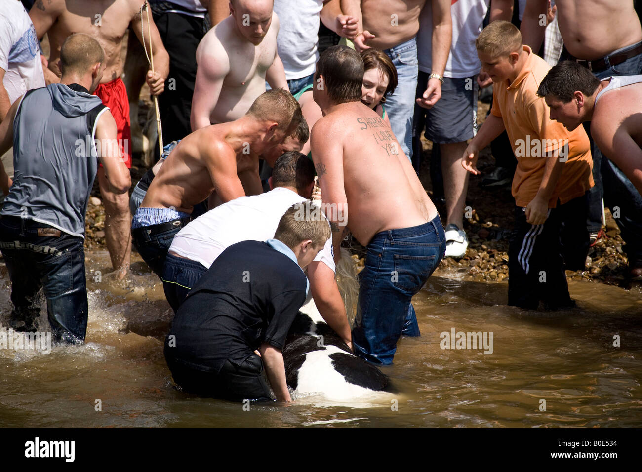 Pferd ertrinken Appleby Fair 2007 10 Stockfoto