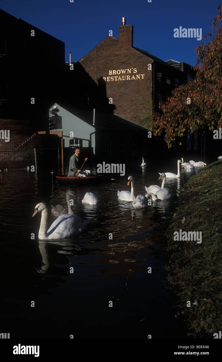 Hochwasser am Fluss Severn Worcester England November 2000 Stockfoto