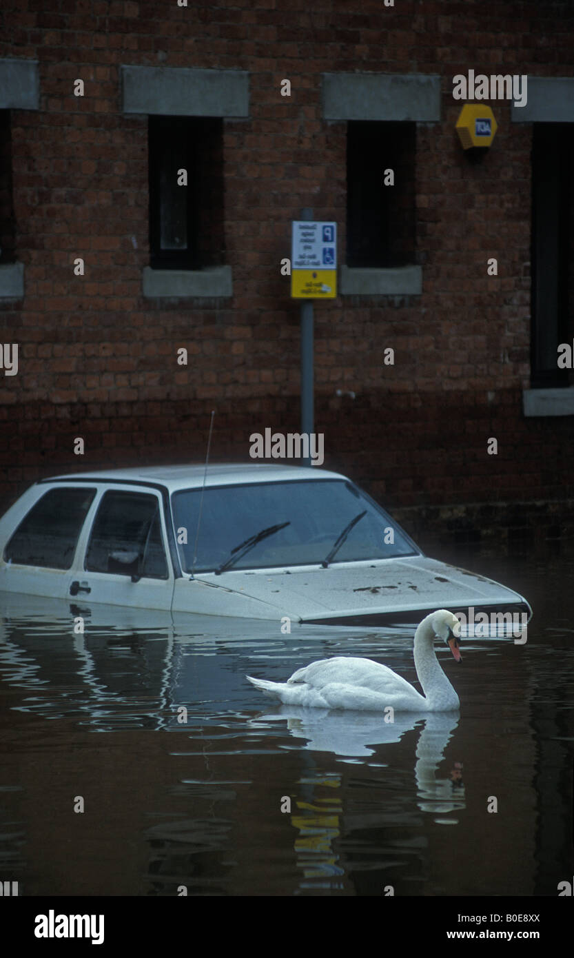 Hochwasser am Fluss Severn - Worcester England - November 2000 Stockfoto