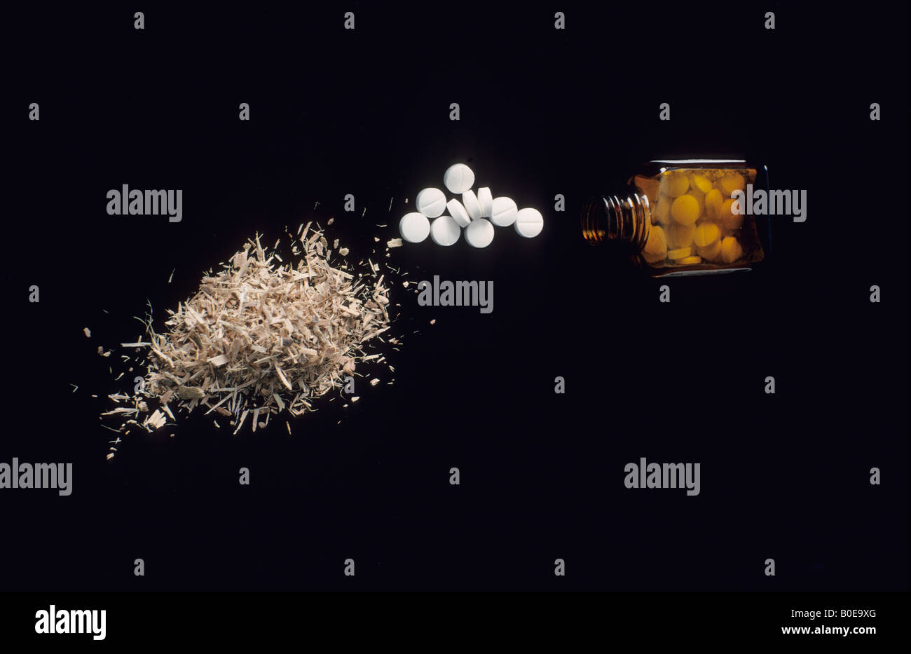 Stillleben mit Flasche Asprins und Weide Rinde, die die Quelle der ersten Salicilic Säure zur Linderung von Kopfschmerzen eingesetzt wurde Stockfoto