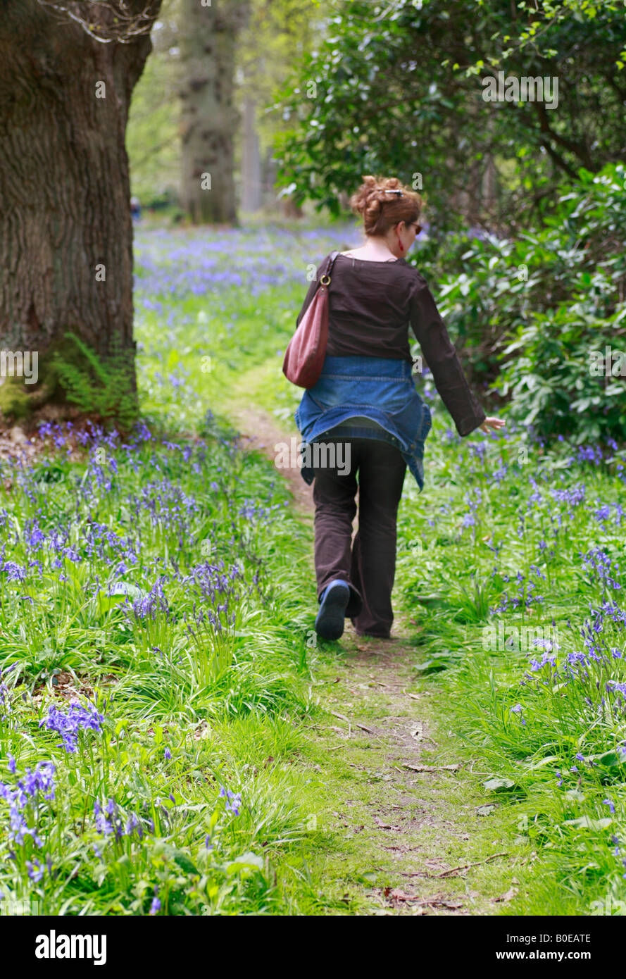 Eine Frau zu Fuß entfernt durch Bluebell Wald mit einer Tasche über der Schulter. Stockfoto