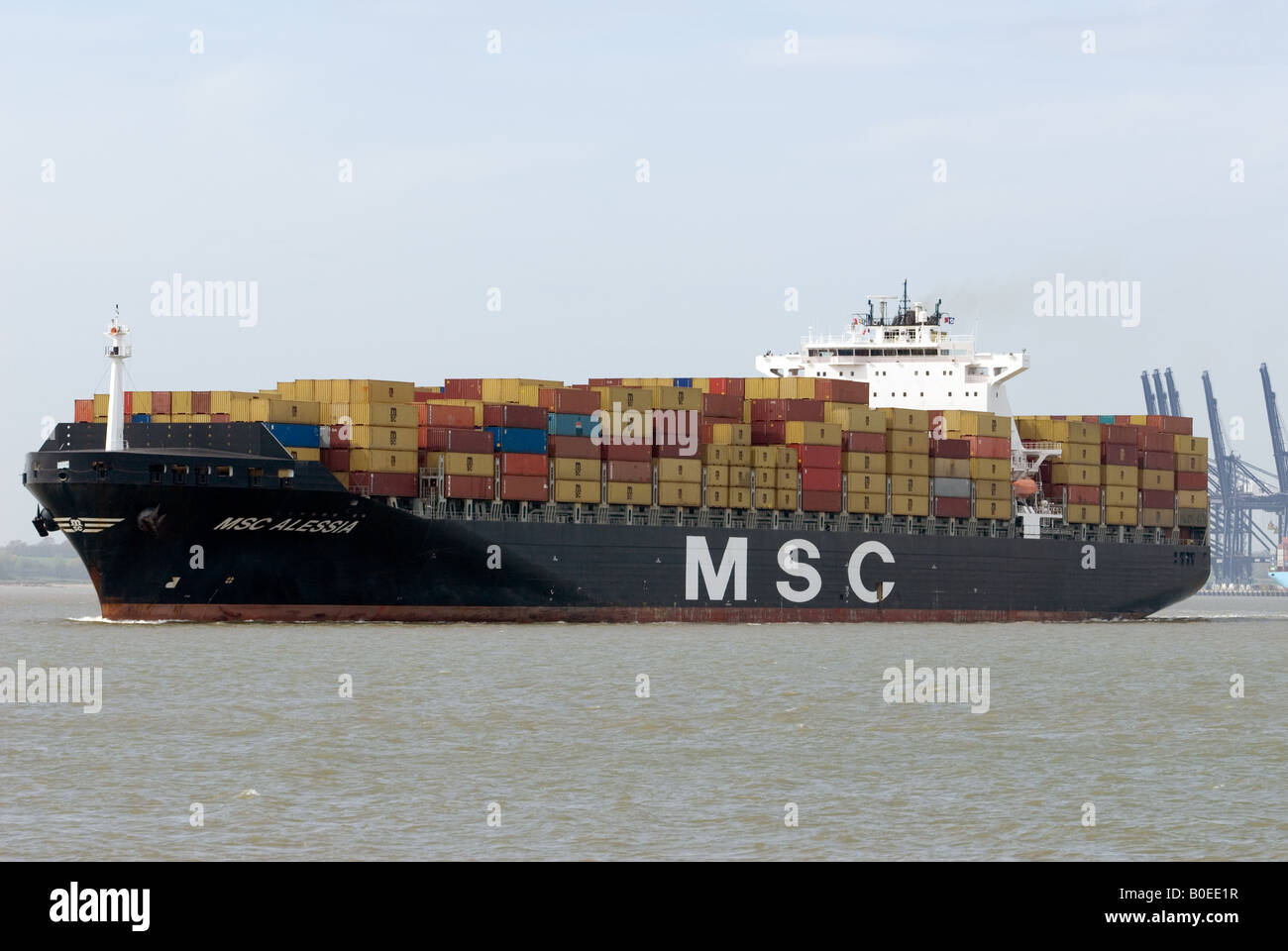 MSC "Alessia" Container-Schiff, Hafen von Felixstowe, Suffolk, UK. Stockfoto