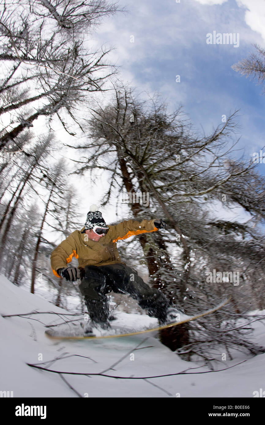 Snowboarder durch Bäume abseits der Piste fahren. Stockfoto