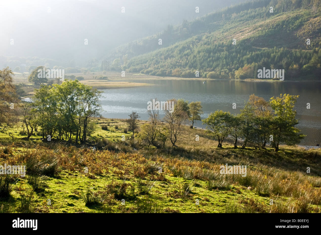 Llyn Crafnant - See in der Nähe von Trefriw, Nordwales - im Herbst Stockfoto