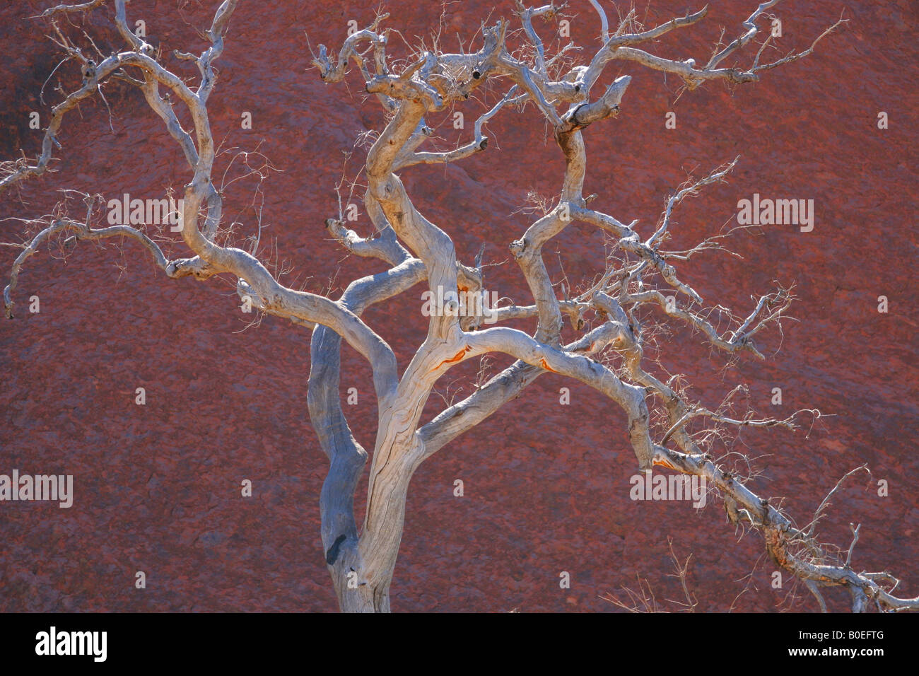 Ayers rock, Australien Stockfoto
