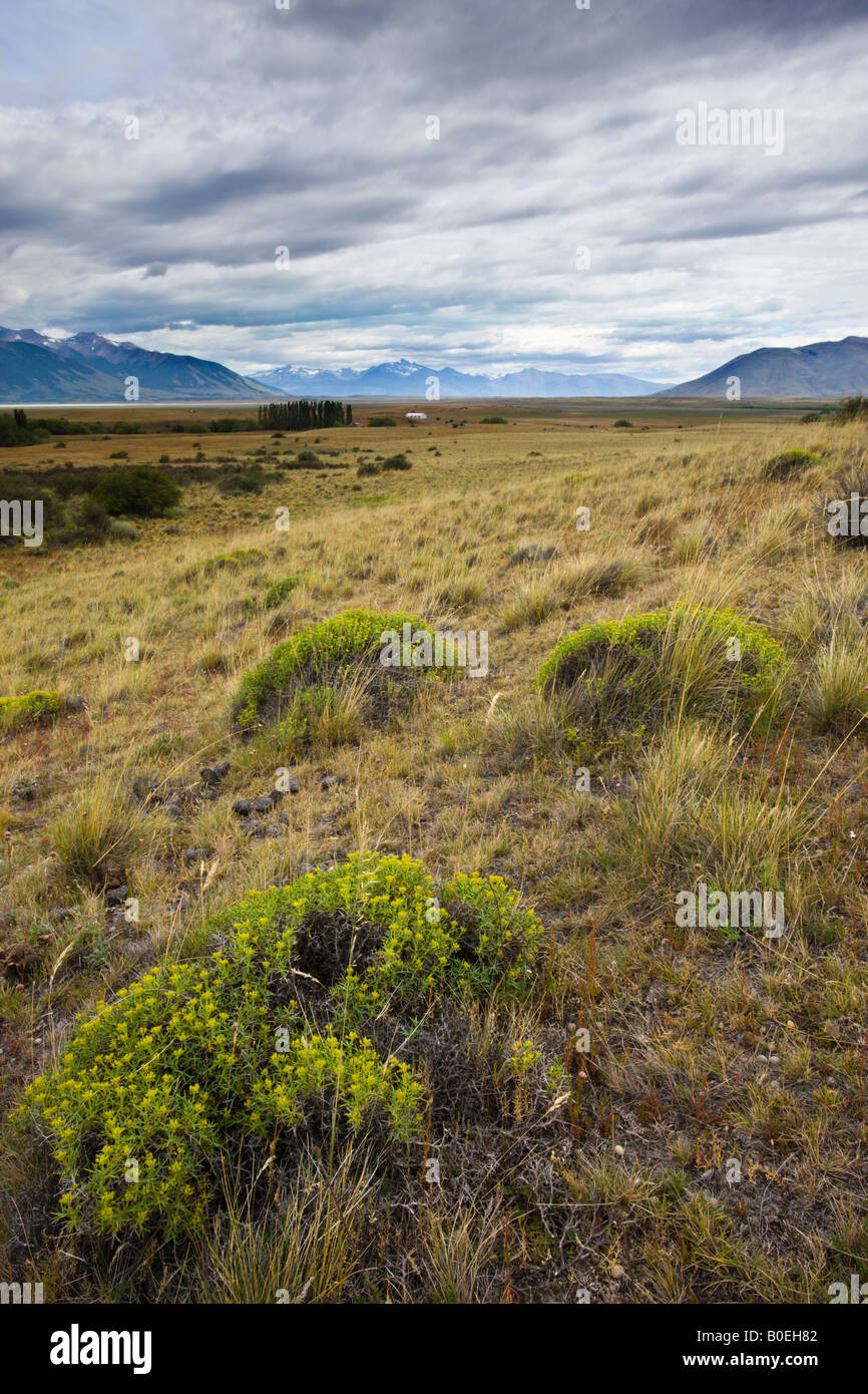 Weite Täler von Patagonien in der Nähe von El Calafate, Argentinien Stockfoto