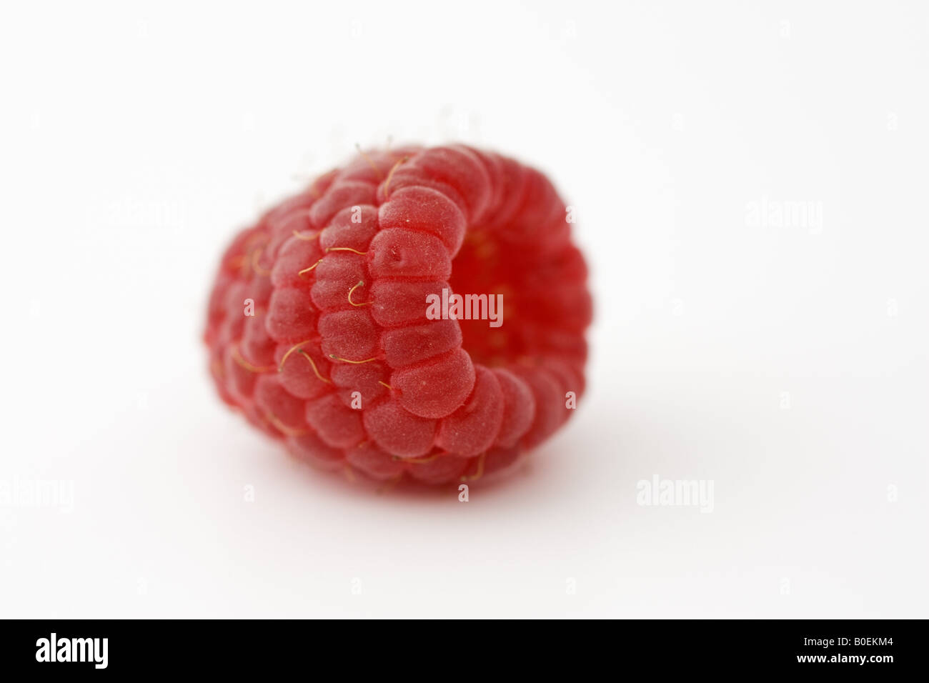 Frische Himbeeren Stockfoto