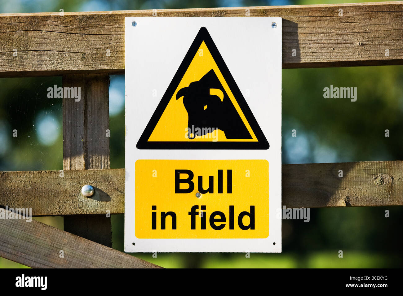 Warnzeichen für Bull in Feld Sellack Herefordshire England Vereinigtes Königreich Stockfoto