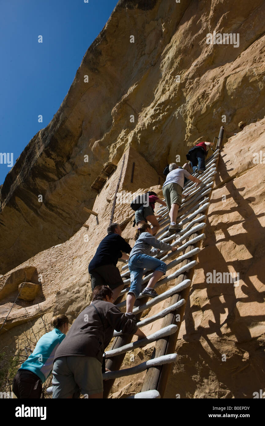 Park Besucher Klettern eine 36 Fuß-Leiter in den Eingang des Hauses Balkon Ruinen Mesa Verde National Park in der Nähe von Cortez Colorado Stockfoto