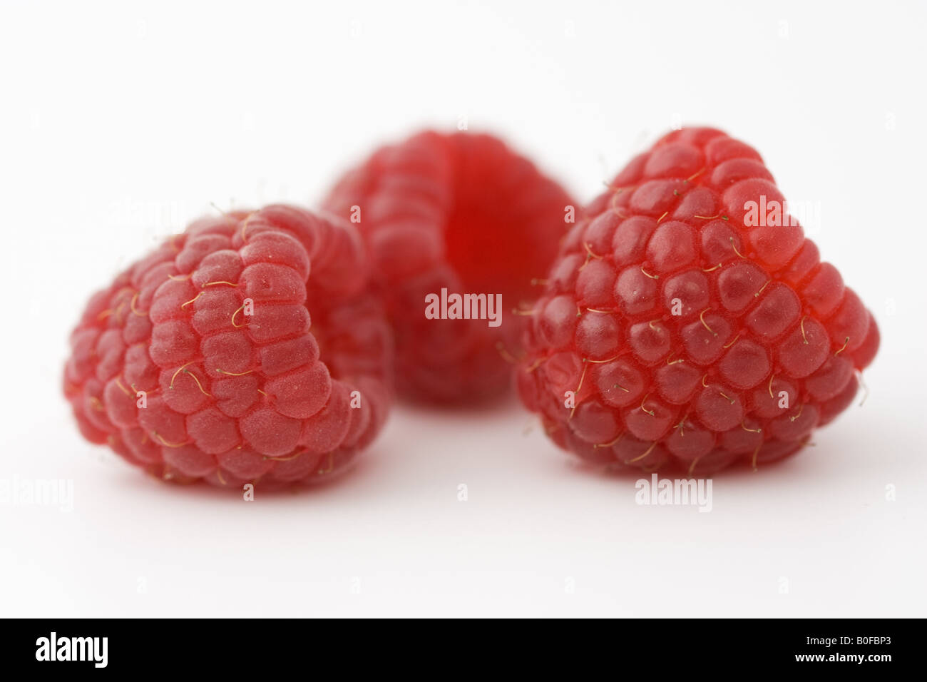 Frische Himbeeren Stockfoto