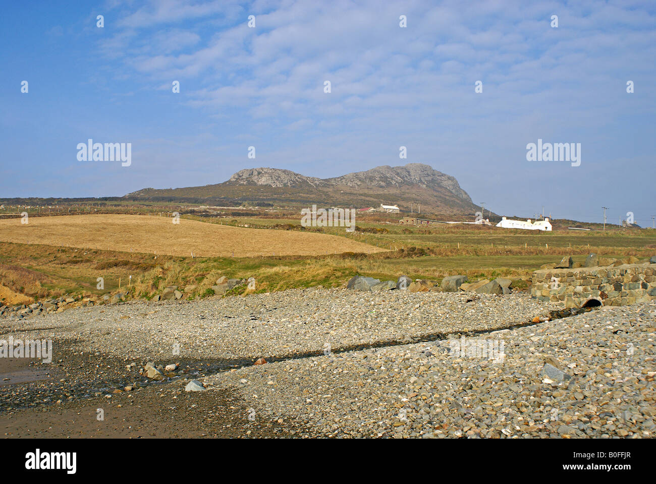 Carn Llidi in der Nähe von St Davids in Pembrokeshire Stockfoto