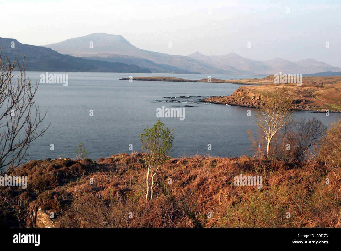 Blick vom Ufer des Loch Scridain gegenüber Ben More auf der Isle of Mull, Schottland Stockfoto