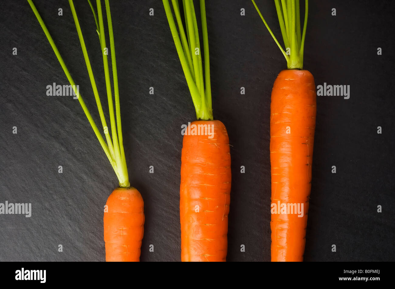 Frische und Reife orange Karotten Veggie-bildende Kunst-serie Stockfoto