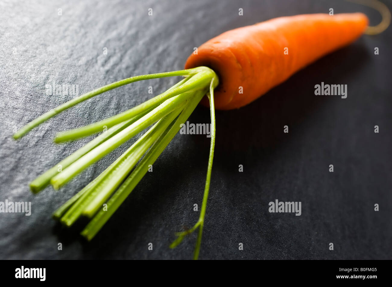 Frische und Reife orange Karotte flachen Schärfentiefe Stockfoto