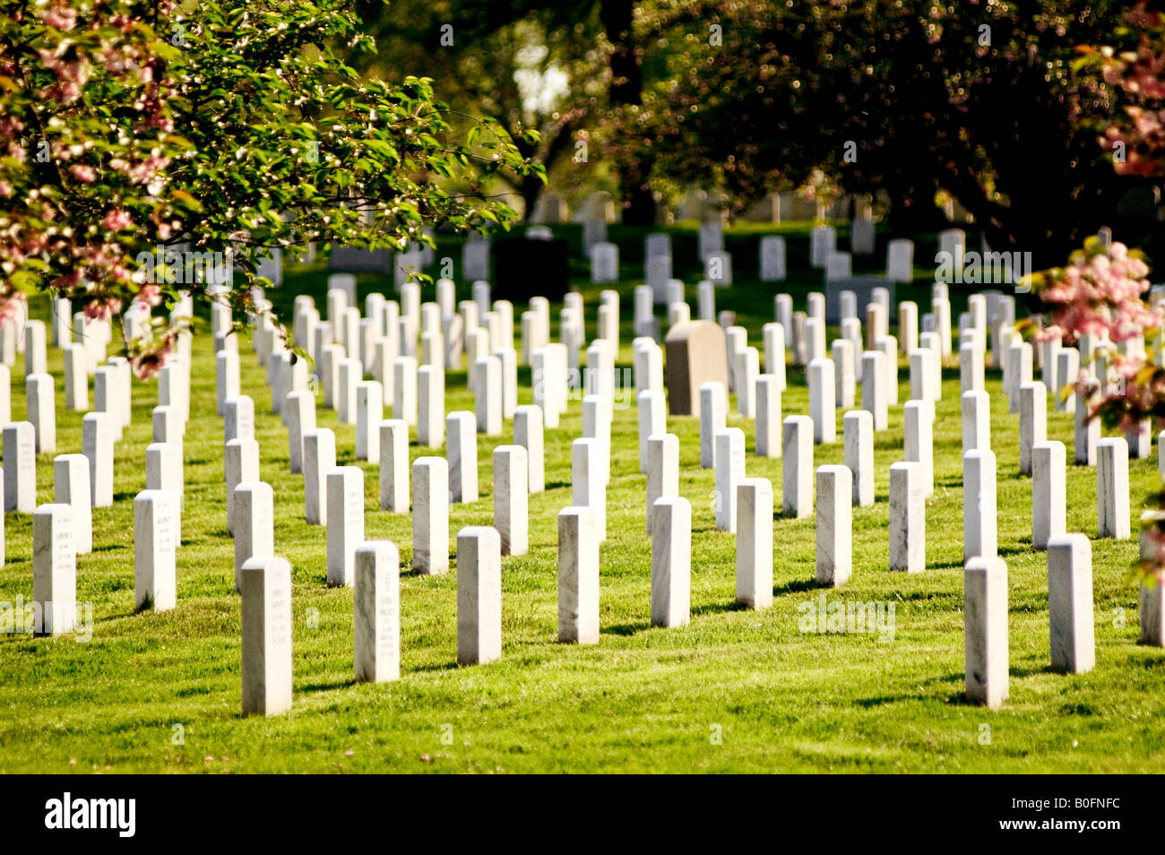 Nationalfriedhof Arlington Washington D.C. Stockfoto