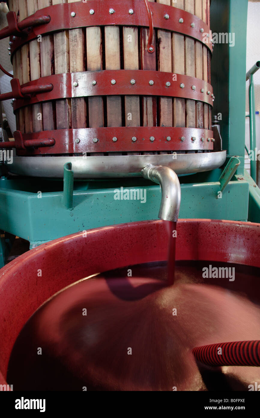 Hand drücken Shiraz Trauben Broombee Bio Weine Mudgee New South Wales Australien Stockfoto