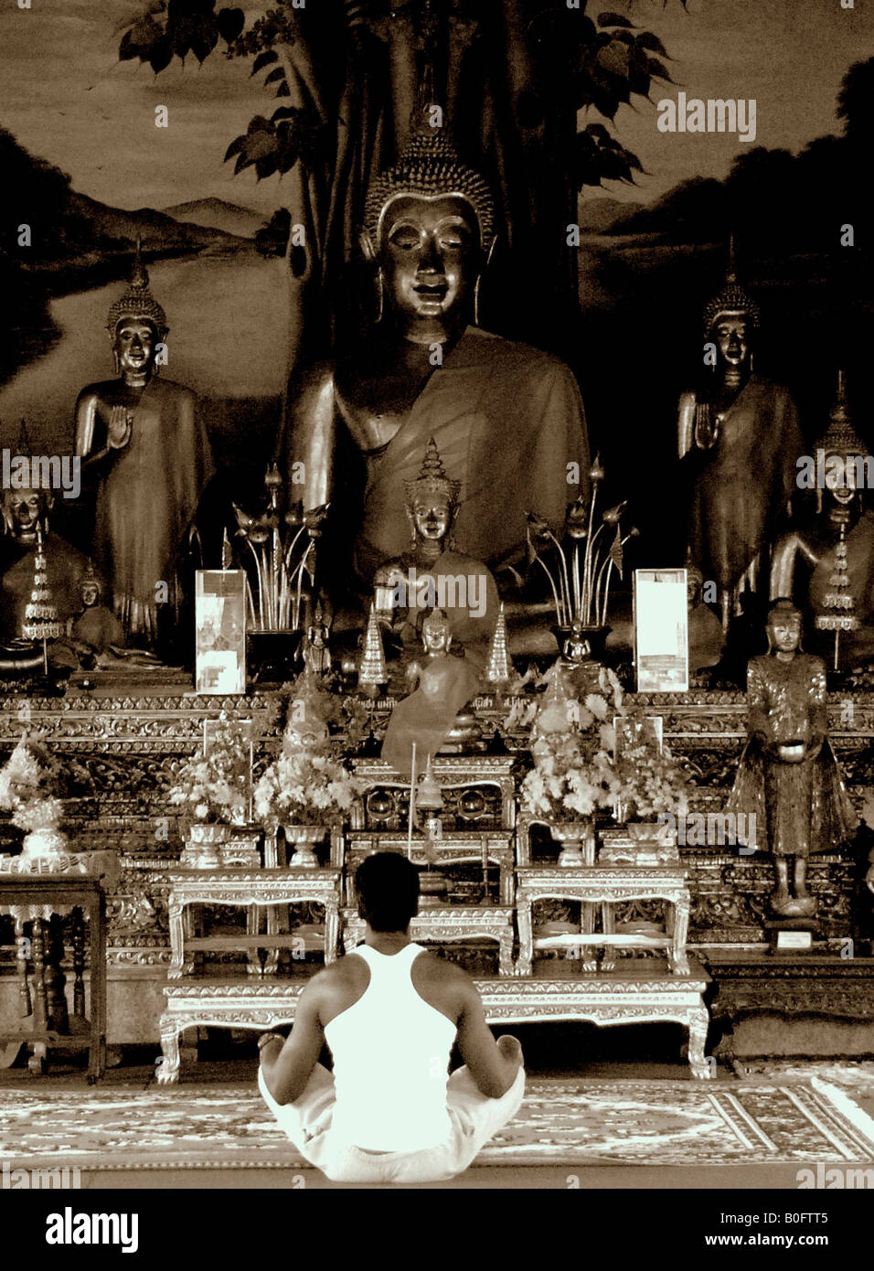 Mann, der betet an Alter, Tempel, bangkok Stockfoto