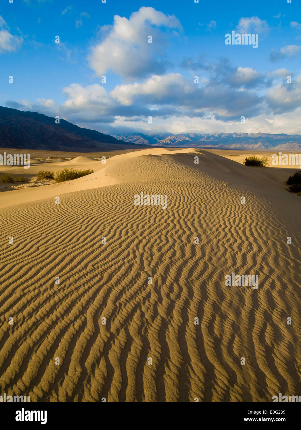 Stovepipe Wells Sand Dünen Death Valley Nationalpark Kalifornien USA Stockfoto