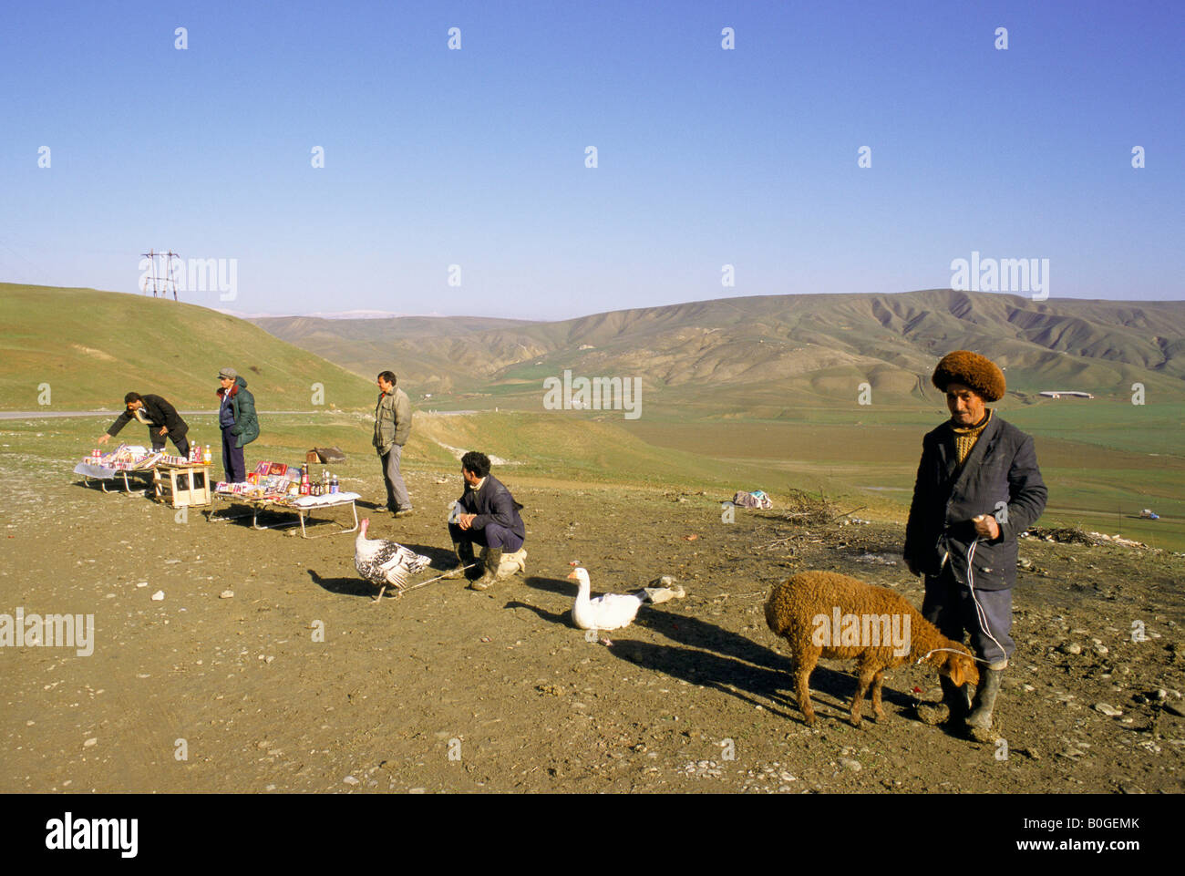 Männer auf der Straße von Baku nach Seki verkauften Tieren und iranischen waren, Aserbaidschan. Stockfoto