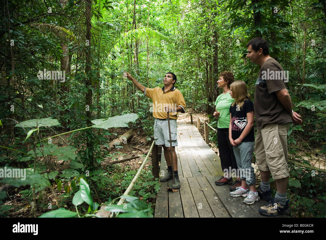 Regenwald Tour - Daintree, Queensland, Australien Stockfoto