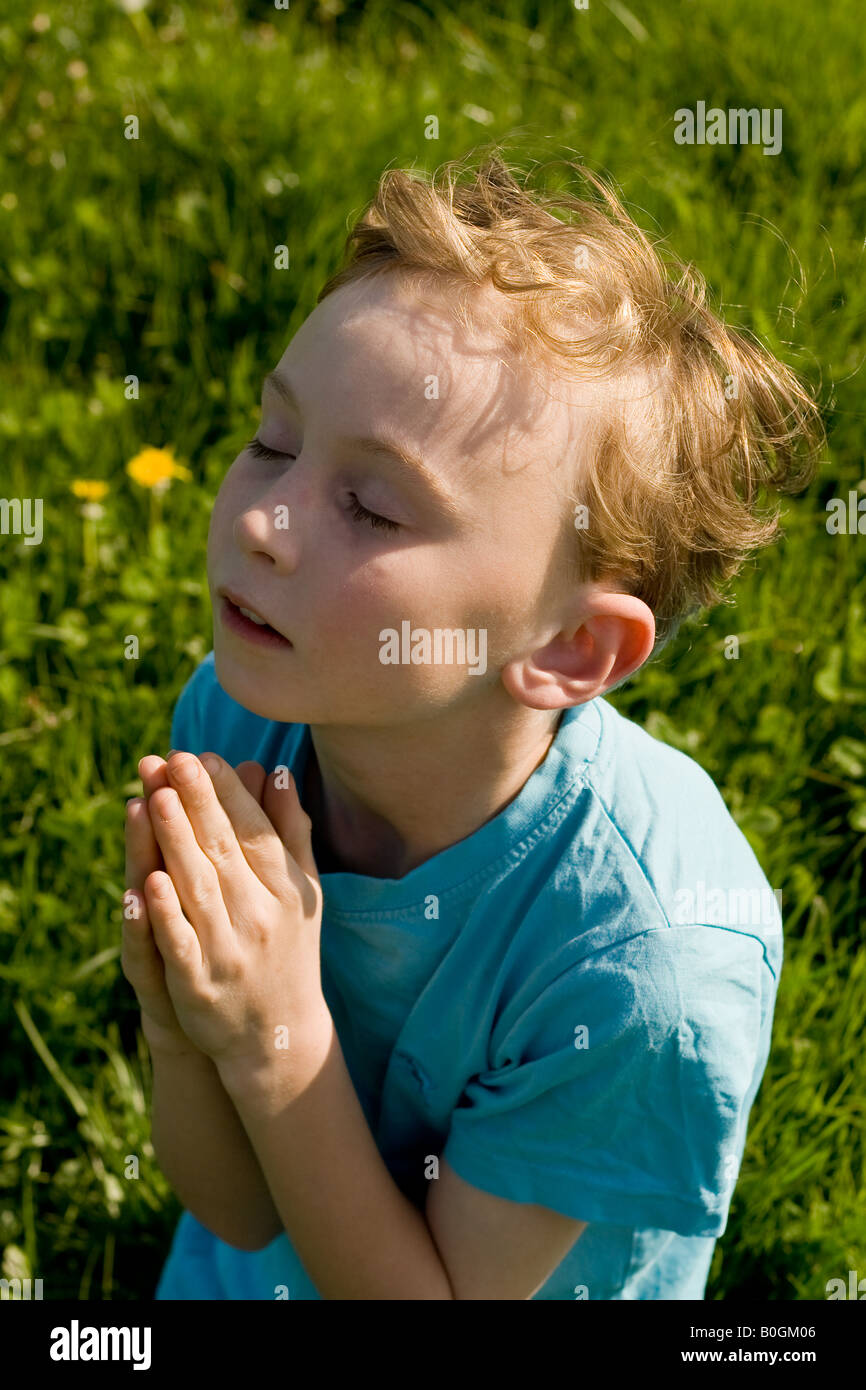 Junge im Feld mit Löwenzahn zu beten Stockfoto
