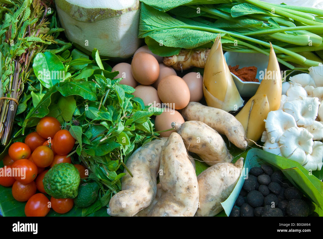 Zutaten aus dem nassen Markt erwarten hacken und kochen für Thai-Food, Chiang Mai, Thailand. Stockfoto