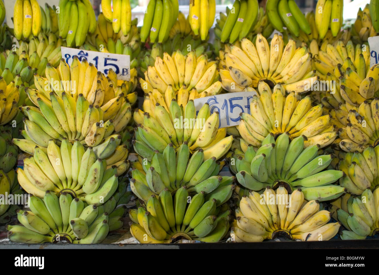 Frische Bananen auf dem Display für Verkauf auf einem nassen Markt, Thailand. Stockfoto