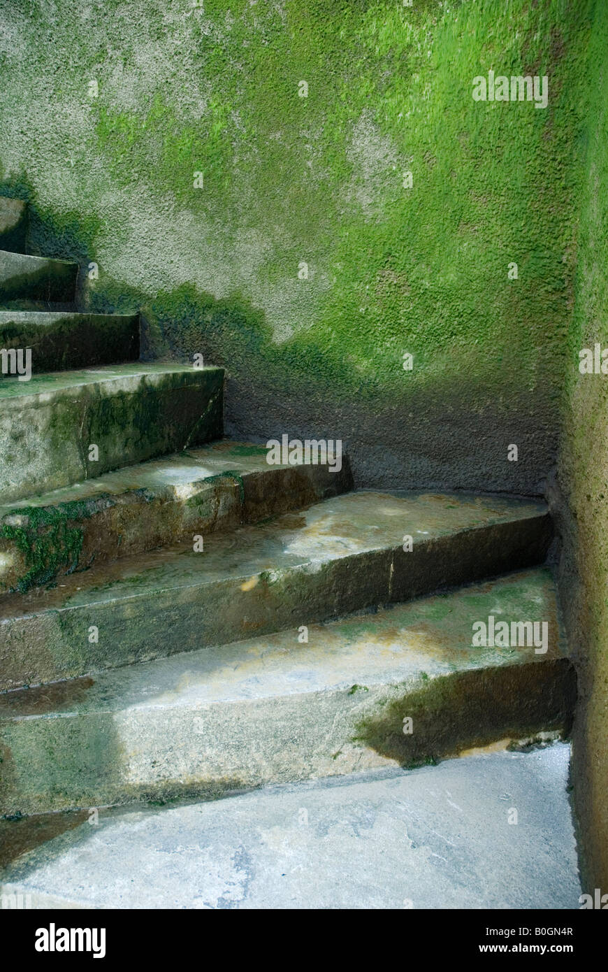 Nasse Stufen hinauf von der Thames River London, England Stockfoto