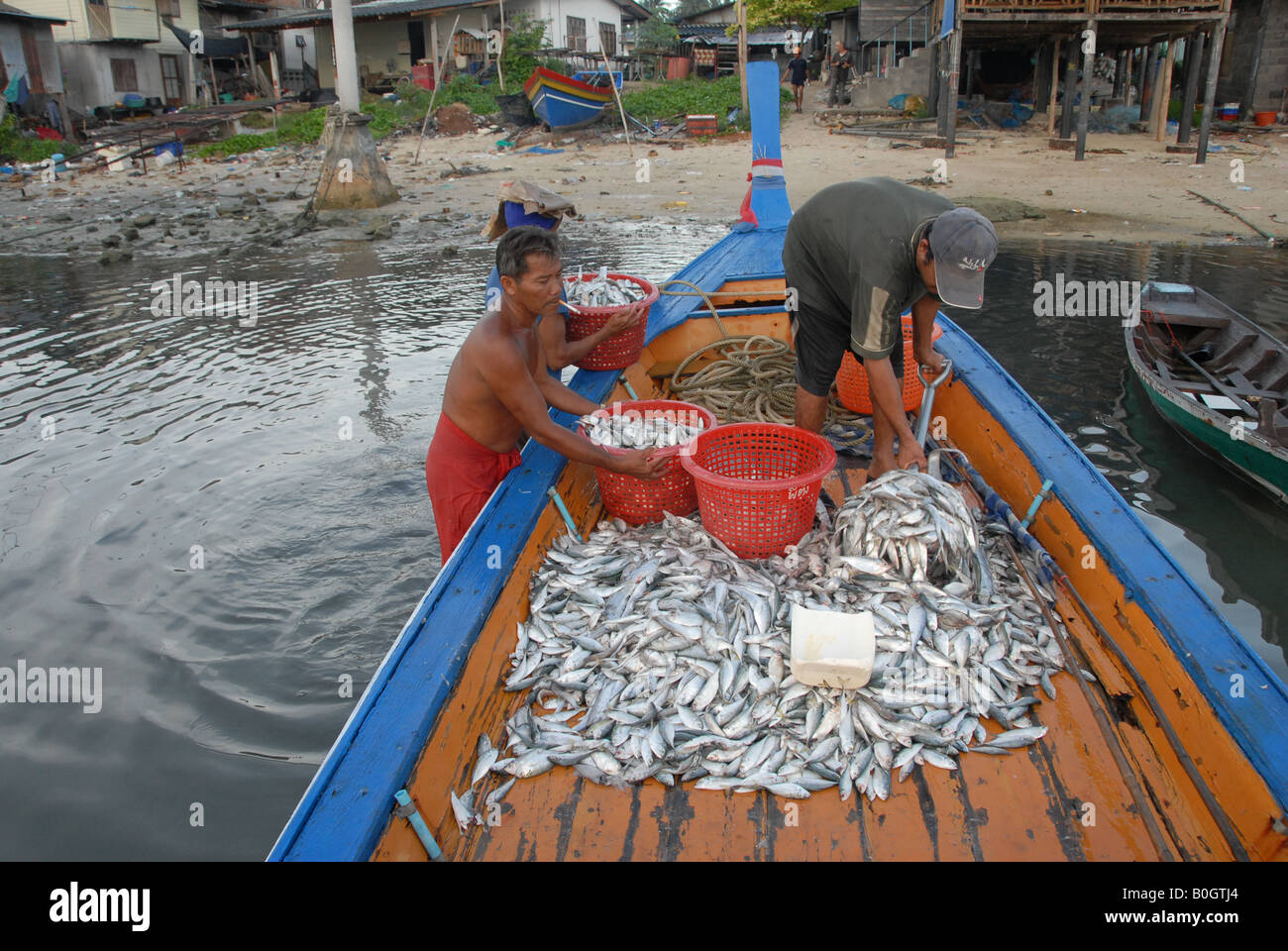 Fischer sind kleine Fische Schaufeln, nachdem wieder vom Fischfang im Meer, Koh Samui, thailand Stockfoto