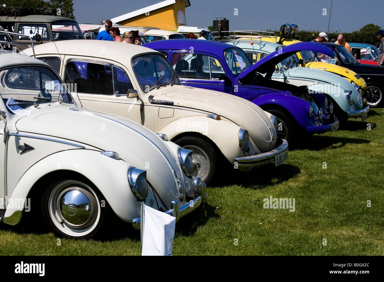VW Käfer Line-up bei einer Oldtimer-show Stockfoto