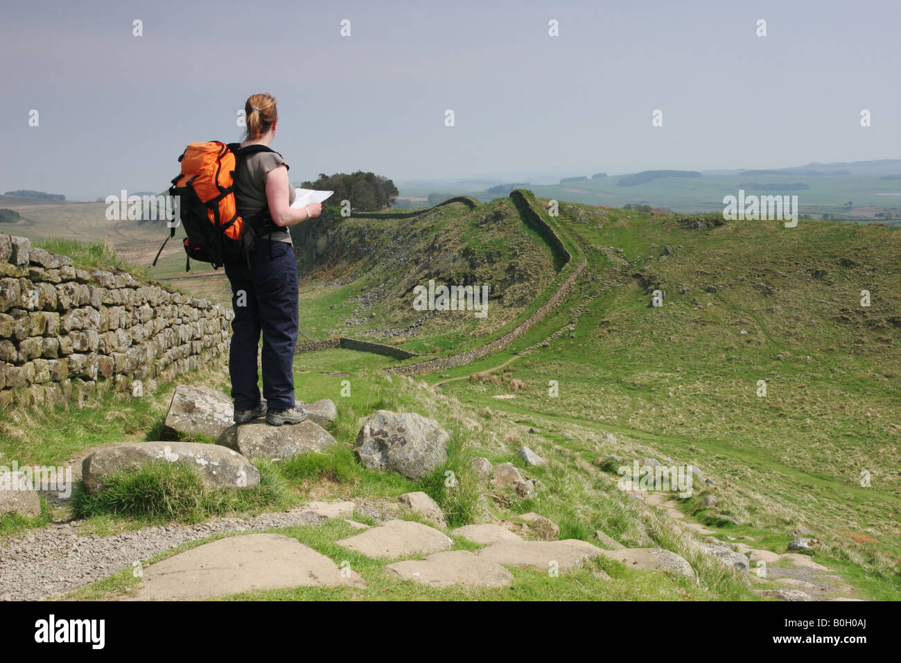 Frau Hill Walker mit Karte genießen den Blick auf Hadrian s Wand Northumberland Ost Stockfoto