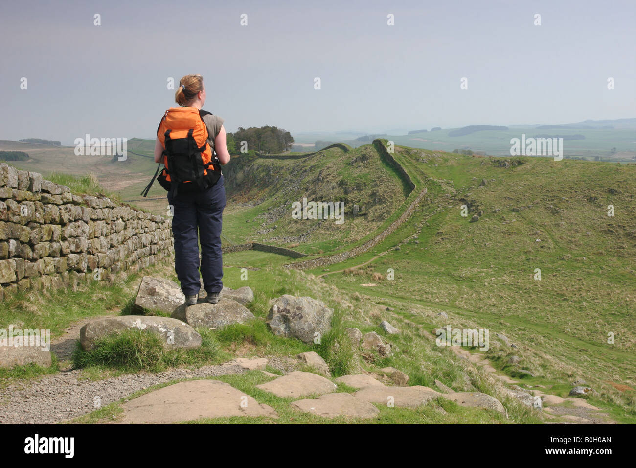 Frau Hill Walker mit Ausblick Ost am Hadrianswall s in der Nähe von Housesteads Fort Northumberland Rucksäcke Stockfoto