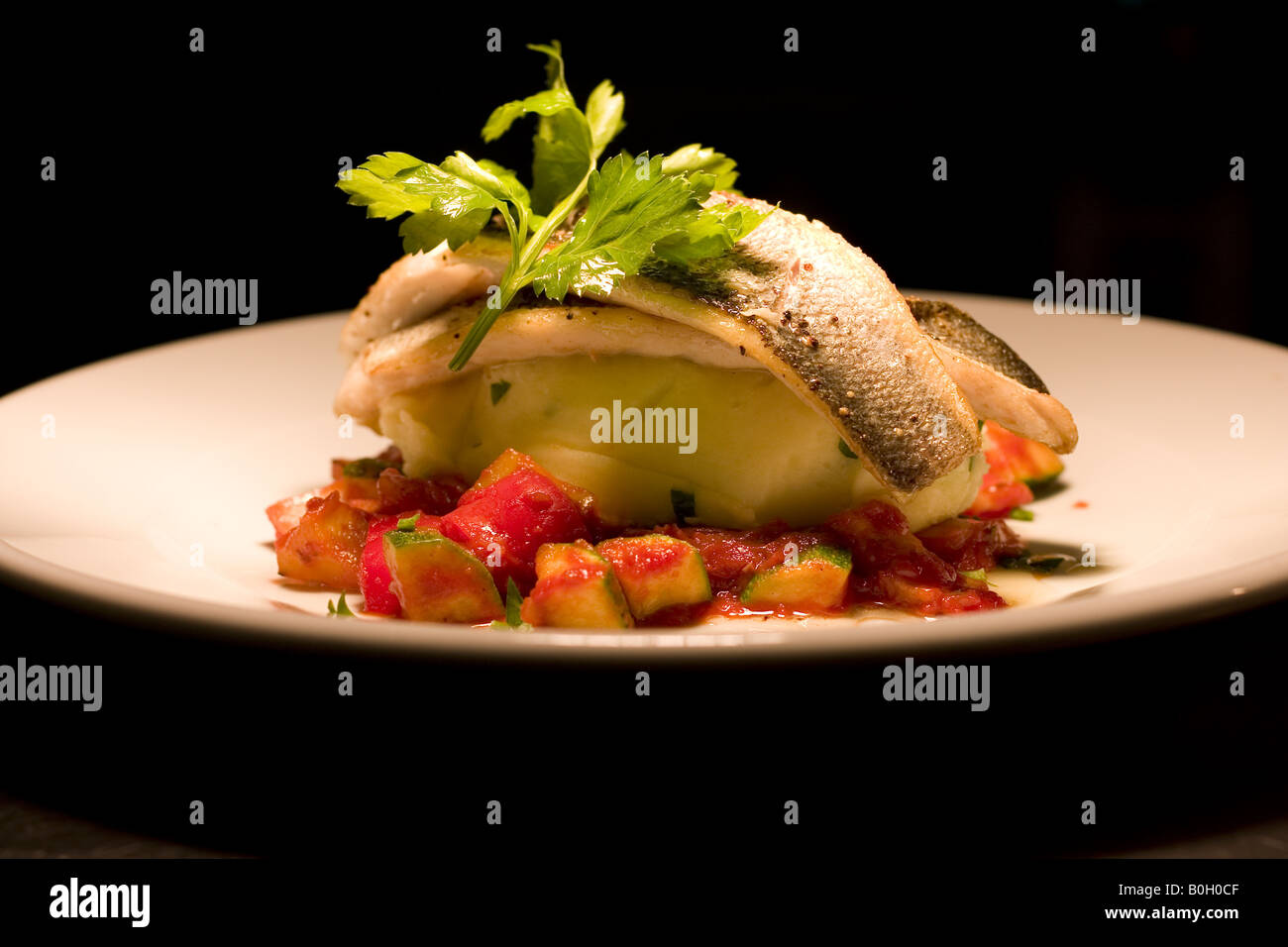 Frisch zubereitete Fischgericht Stockfoto