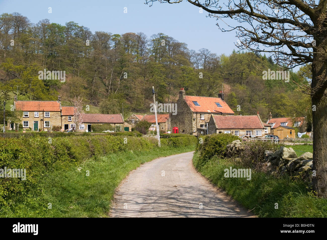 Der kleine Weiler Kirche Häuser Farndale North Yorkshire Stockfoto