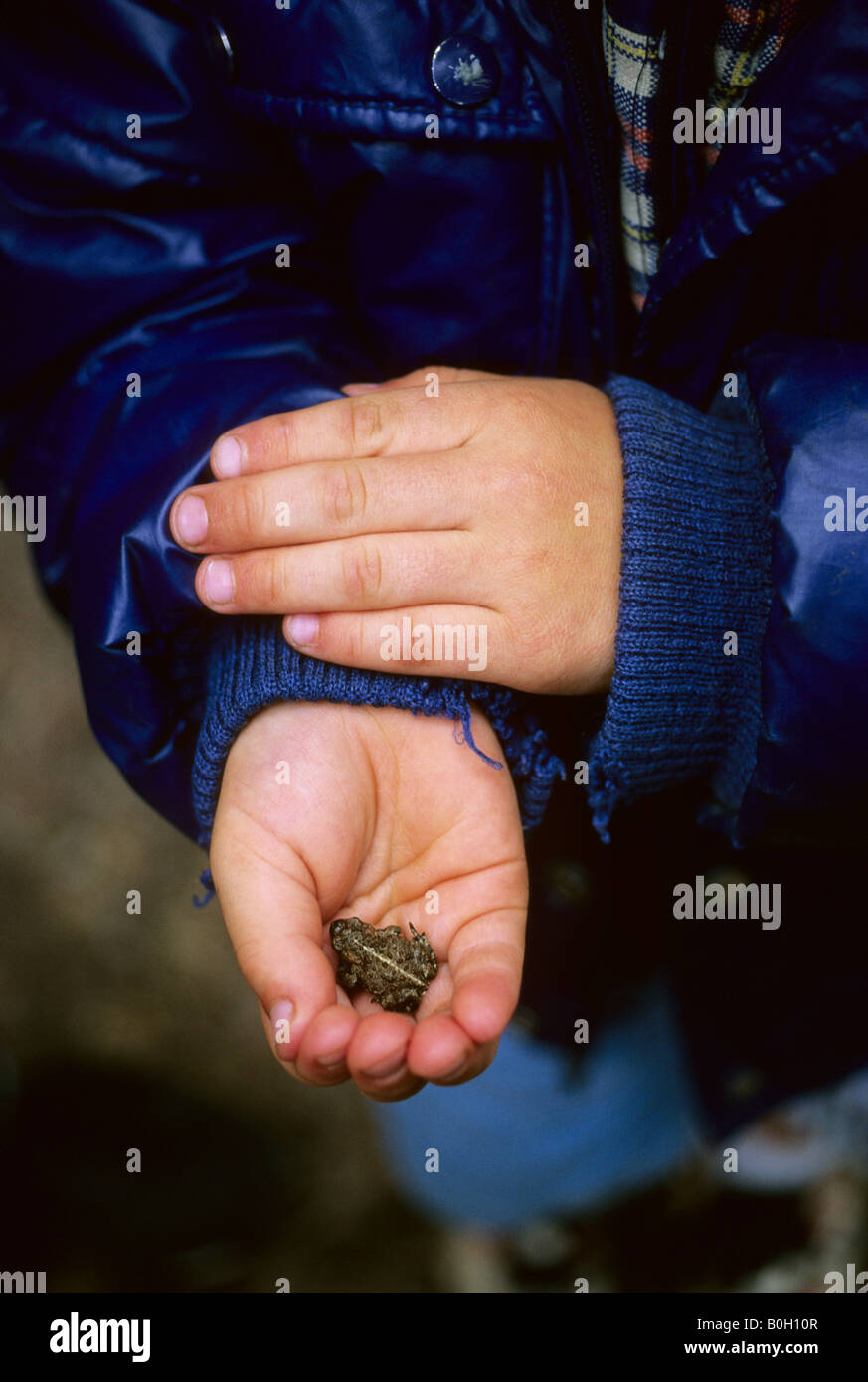 Junge mit kleiner Frosch in seinen Händen Stockfoto